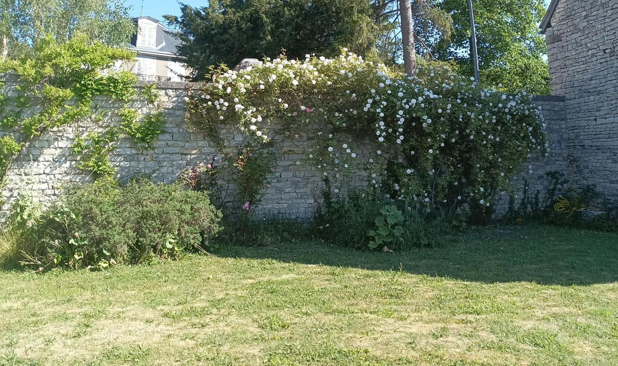 Chez Zaza Stigny Exterior foto